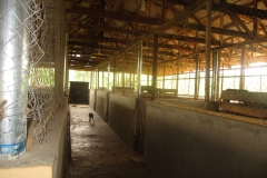 Interior look of Kalahari house