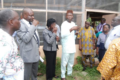 Commissioning and handing-over of CEADESE Poultry House