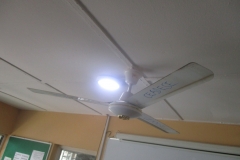 Ceiling fan at the PBST Laboratory